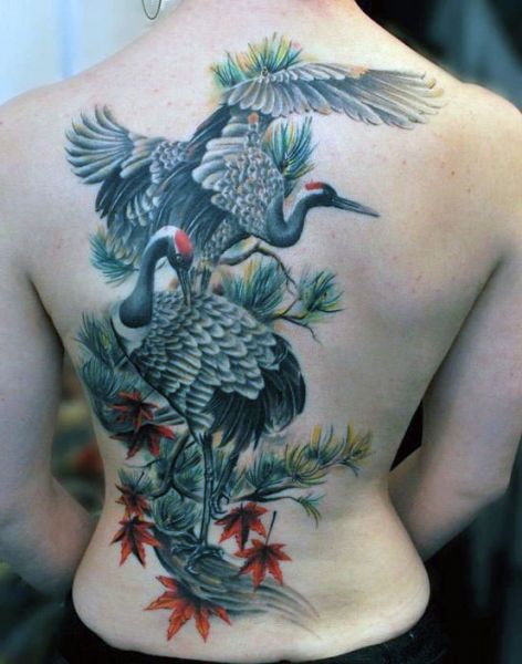 piękne ptaki na plecach