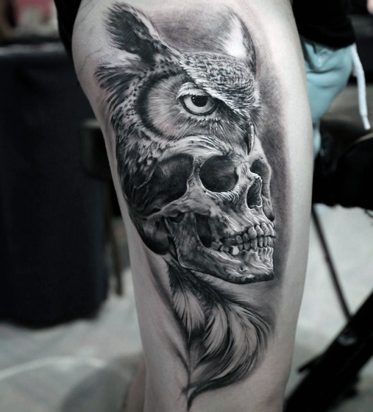 3d tattoo owl and skull