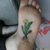 kwiatek na stopie
