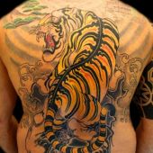 tygrys na plecach