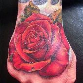 róża na dłoni