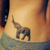 tatuaż słoń na biodrze