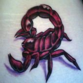 tatuaż skorpiona 3d