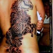 skeleton horse tattoo