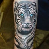 amazing tiger tattoo