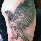 hawk arm tattoo