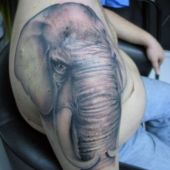 incredible elephant tattoo