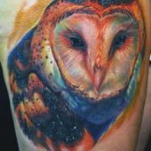 kolorowy tatuaż sowy