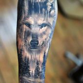 tatuaże zwierzęta wilk na ręce