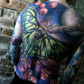 incredible moon moth back tattoo
