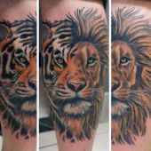 tiger and lion tattoo