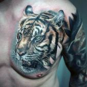 tatuaże zwierząt tygrys na piersi