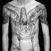 amazing sketch swan tattoo