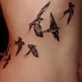 sparrows tattoo