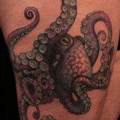 octopus tattoo on thigh