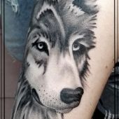 wilk tatuaż
