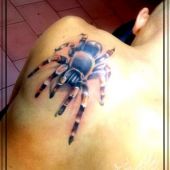 Tarantula tattoo