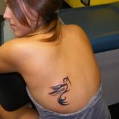 tatuaż kobiecy gołąbek na plecach