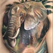 tatuaż słoń na piersi