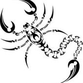 skorpion z długim ogonem tatuaż