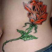 czerwona róża tatuaż nad tyłkiem