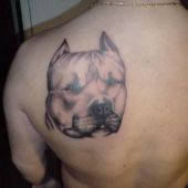 pies na plecach tatuaż