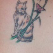 tatuaż kot z motylem