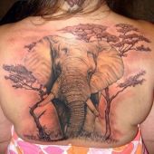 słoń na plecach