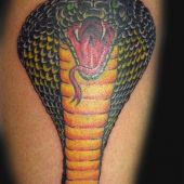 wąż-kobra