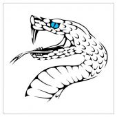 niebieskooki wąż