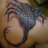 skorpion na plecach