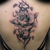 kwiat róży na plecach