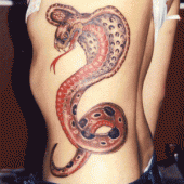 tatuaż wąż kobra na boku