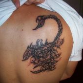 tatuaż skorpiona na plecach