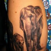 tatuaże słonie na ramieniu