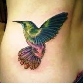 tatuaże na boku koliber