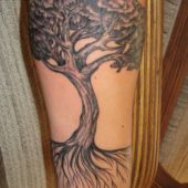 tatuaż drzewo