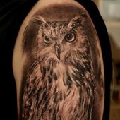 shoulder tattoo owl