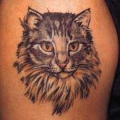 tatuaż kota