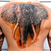 tatuaż głowa słonia na plecach