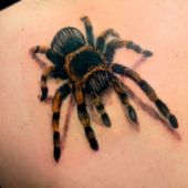 spider 3d tattoo