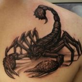 3d tatuaż skorpion na plecach
