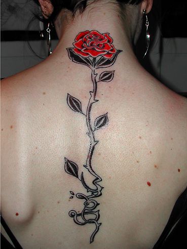 róża na kręgosłupie