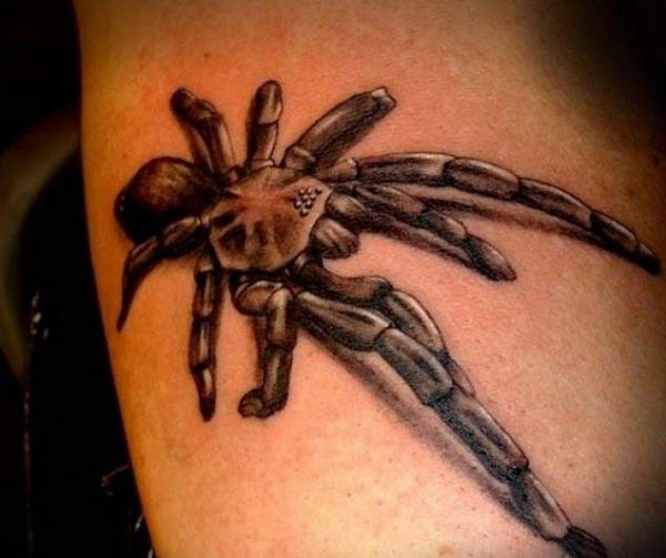 tatuaż pająka 3d
