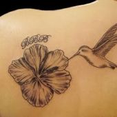 koliber i kwiat na plecach