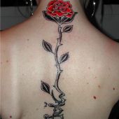 róża na kręgosłupie