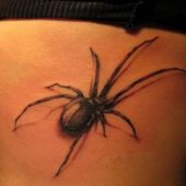 tattoo spider 3d