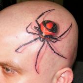 tatuaże na głowie pająk 3d